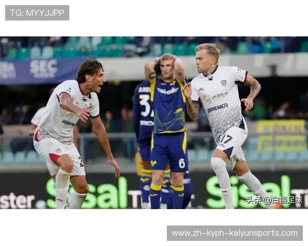 当前意甲联赛共有几支球队 最新数据一览无余