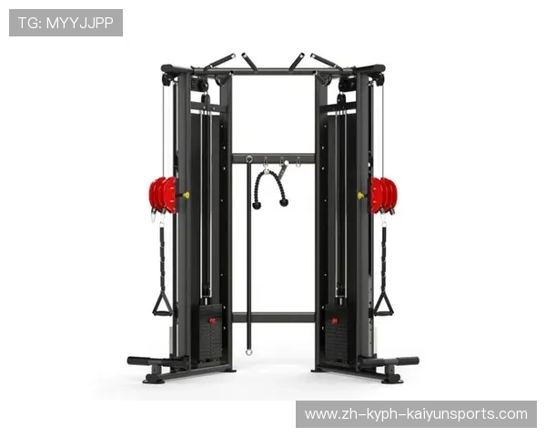 飞鸟扩胸训练器助力上肢力量全面提升 飞鸟扩胸训练器助力上肢力量全面提升