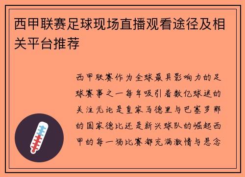 西甲联赛足球现场直播观看途径及相关平台推荐